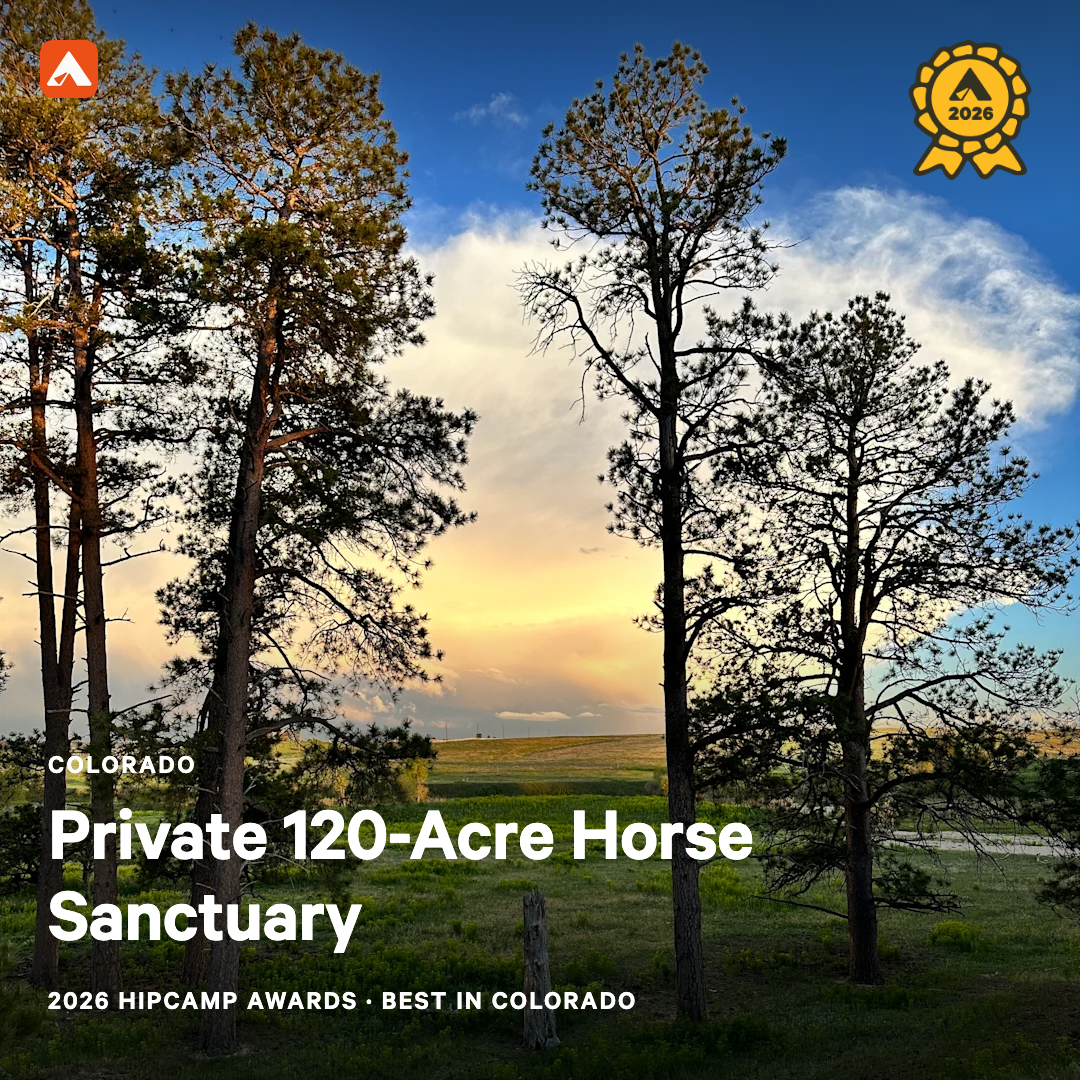 2026 Hipcamp Awards Best in Colorado — Private 120-Acre Horse Sanctuary